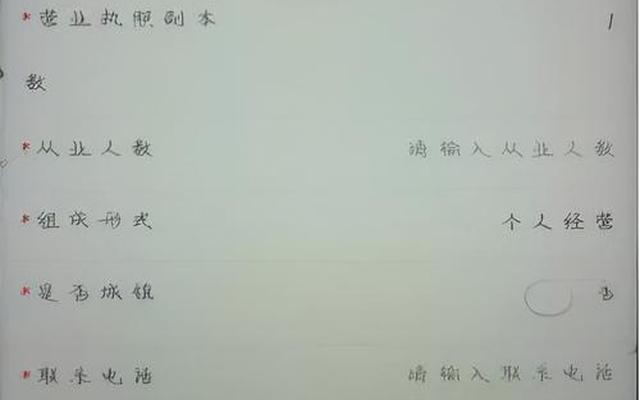 掌上注册通怎么签字(掌上注册通签字确认流程图片)