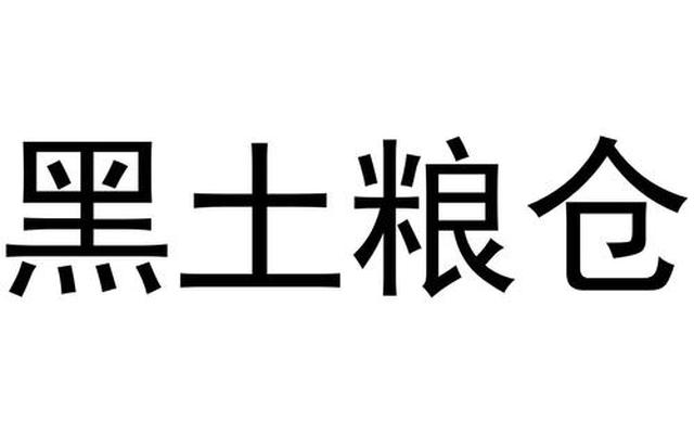 新春黑土领取需要登录几天