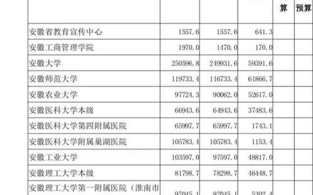 2022安徽高校经费预算排名(安徽省高校拨款经费排名)