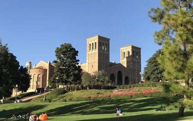 ucla bruin什么意思