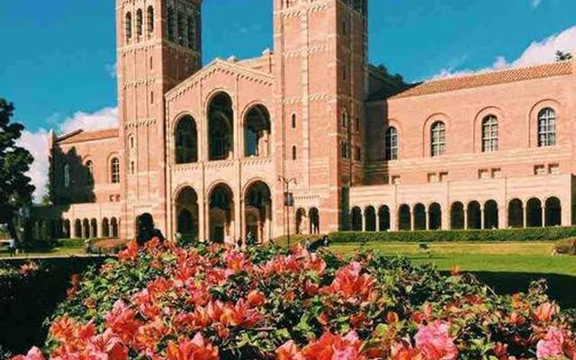 ucla bruins什么意思