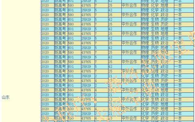 上海理工大学各专业全国排名