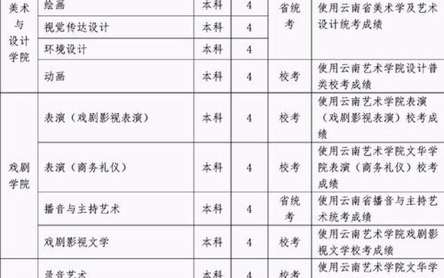 云南艺术类本科学校有哪些(云南艺考生可以报哪些学校)