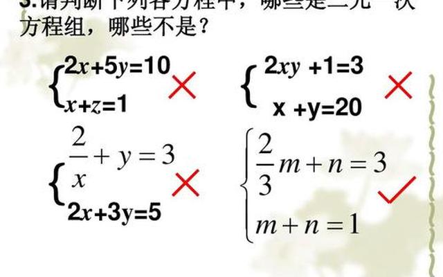 什么是二元一次方程通俗、什么叫二元一次方程,它有什么特点