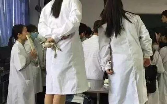 什么样的人不适合学医