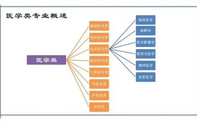 医学类最吃香的专业