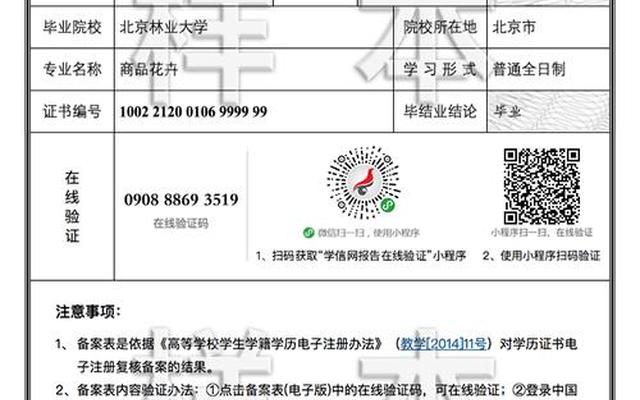 大学毕业证丢了用学信网打印可以,毕业证丢了学信网打印