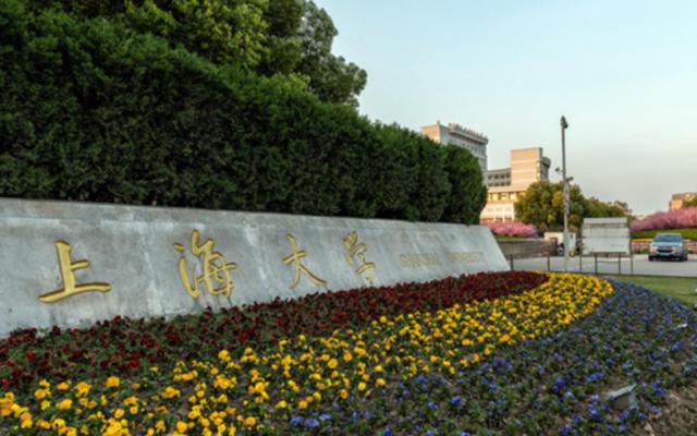 宁波大学是985211吗