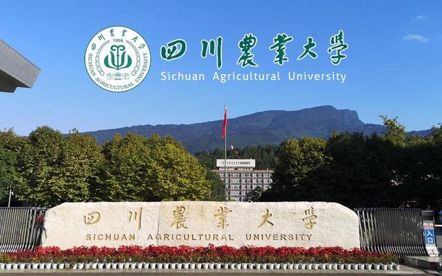 川农大二本是211吗(川农是不是211大学)