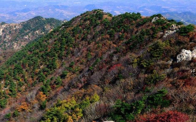 山东高山排名一览表