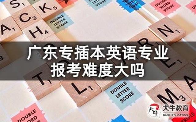 广东专插本公办难度大吗