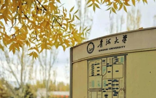 有必要为了211去青海大学吗(青海大学211的含金量)