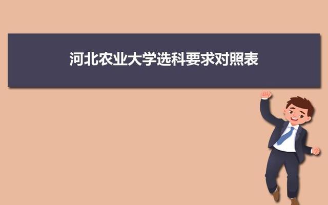 河北工业大学是985还是211