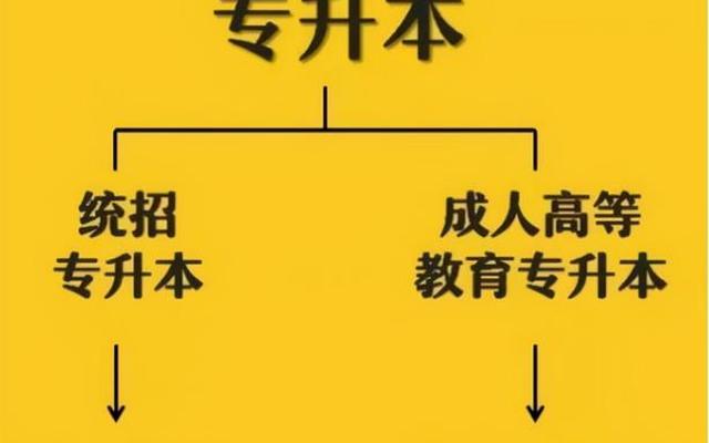 统招本科包括专升本吗(全日制普通本科包括专升本吗)