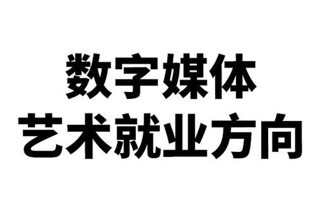 计算机数字媒体技术就业方向