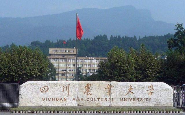 雅安川农大学是211吗