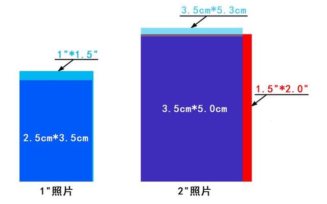 一寸二寸照片大小对比图片大全(一寸照片尺寸和二寸照片对比)