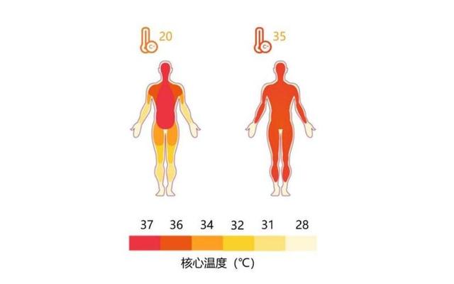 为什么37度人会觉得热_感觉全身燥热体温37度1