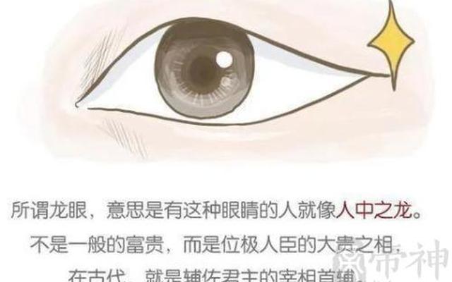 什么样子的眼神眼型面相最好