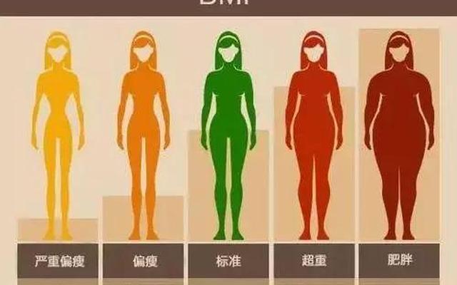 体脂率15%是什么样子(男生体脂15大概什么样子)