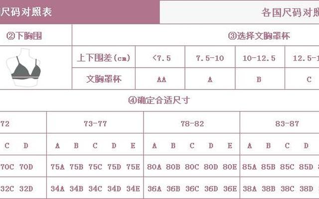 内衣怎么选尺码表、内衣34 36 38尺码对照表