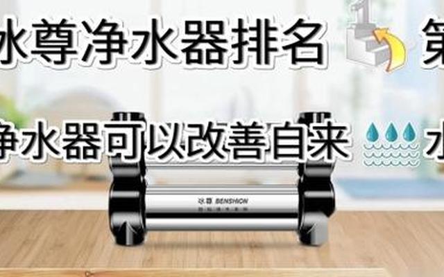 国内净水器排行榜最新品牌