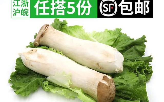 杏鲍菇和鸡腿菇图片