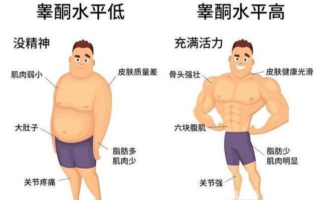 男性体脂率15%什么样子