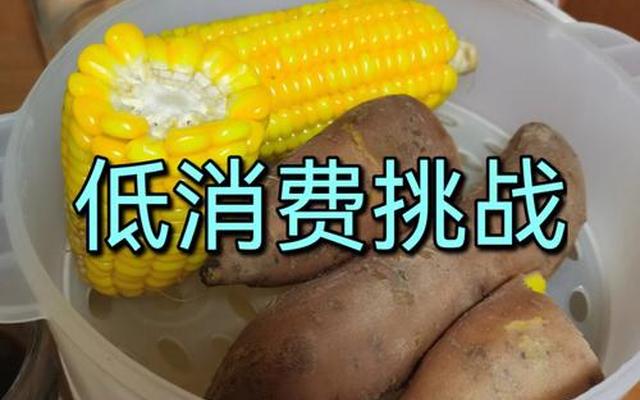 自己做饭一个月多少伙食费;自己做饭一个人一个月多少钱