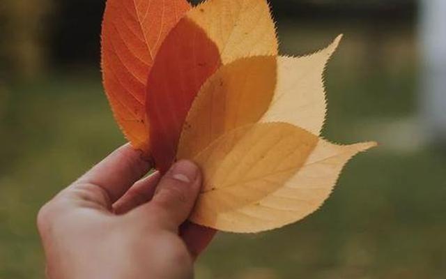 “活在缘分中,而非关系里”(活在缘分中,而非关系里的意思)