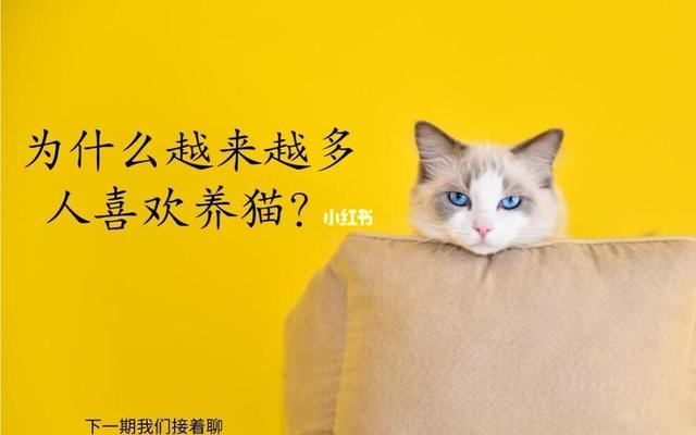 养猫的人的性格特点(养猫的女人性格缺陷)