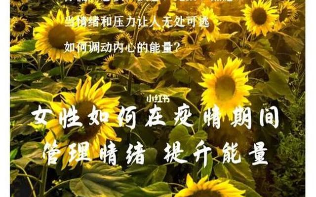 女人怎么调节自己的情绪(怎么快速调节自己的情绪)