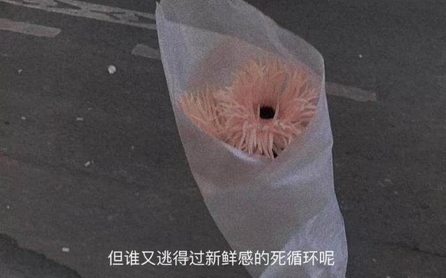 新鲜感过了就不喜欢了吗