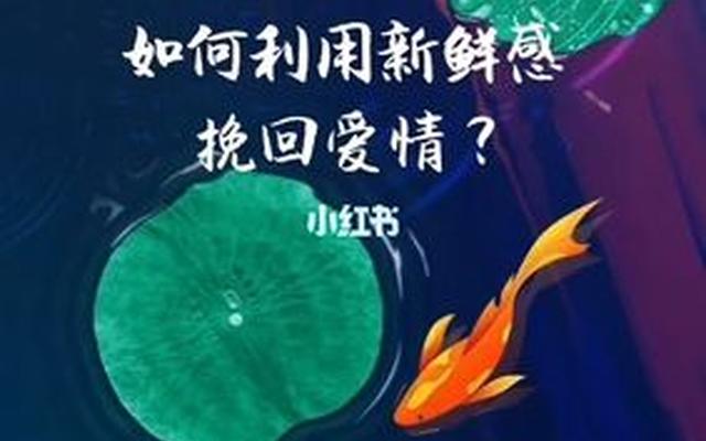 感情新鲜感一般是多久