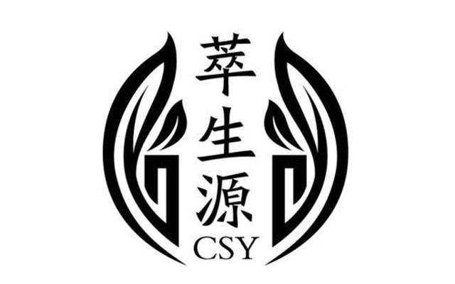 csy中文是什么意思