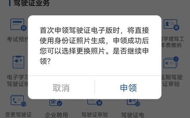 电子驾驶证怎么申请不下来(电子驾驶证申请不下来怎么回事)