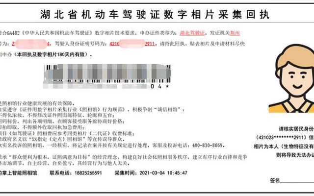 驾驶证照片从哪里可以找到