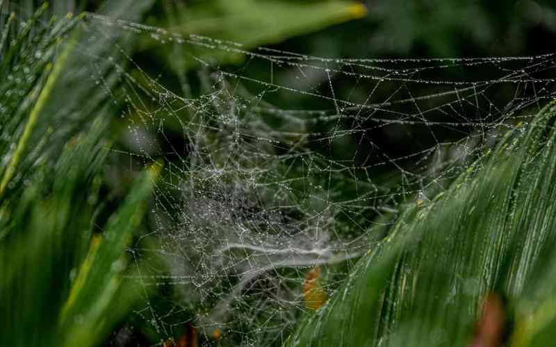 如何选择适合群组氛围和主题的进群特效