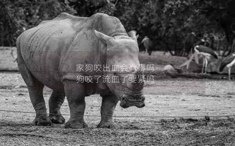 家狗咬出血会有事吗-狗咬了流血了要紧吗