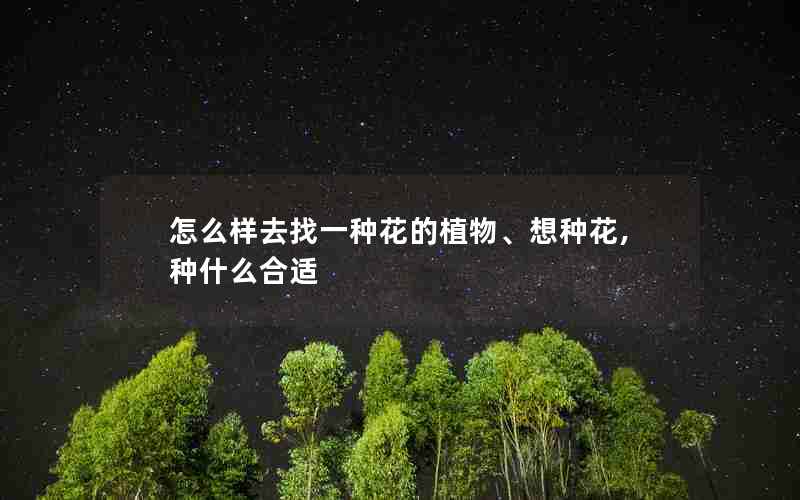 怎么样去找一种花的植物、想种花,种什么合适