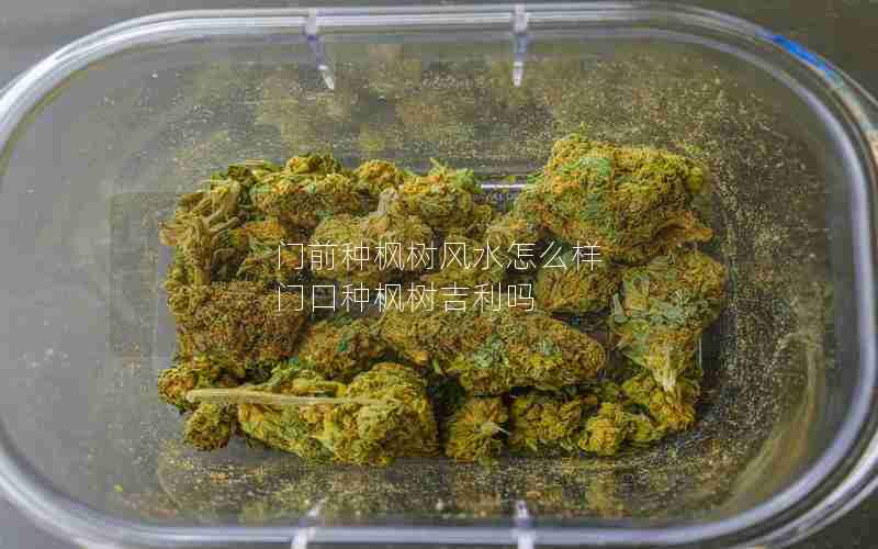 门前种枫树风水怎么样 门口种枫树吉利吗