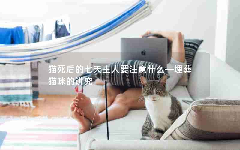 猫死后的七天主人要注意什么—埋葬猫咪的讲究