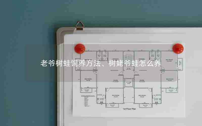 老爷树蛙饲养方法、树姥爷蛙怎么养