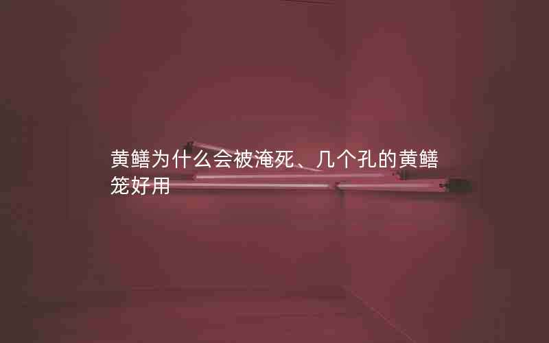 黄鳝为什么会被淹死、几个孔的黄鳝笼好用