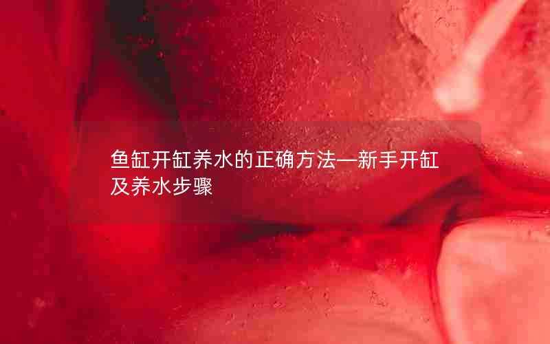 鱼缸开缸养水的正确方法—新手开缸及养水步骤