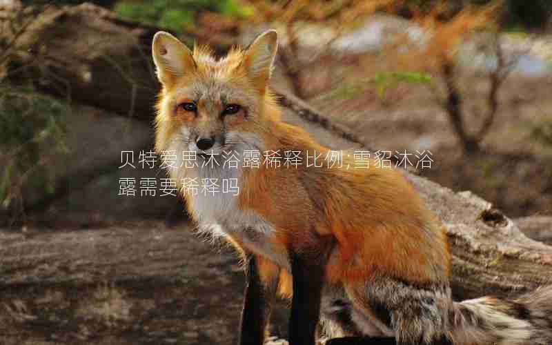 贝特爱思沐浴露稀释比例;雪貂沐浴露需要稀释吗