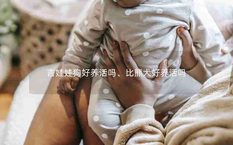 吉娃娃狗好养活吗、比熊犬好养活吗