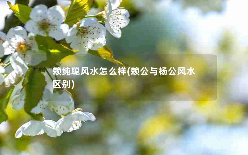 赖纯聪风水怎么样(赖公与杨公风水区别)