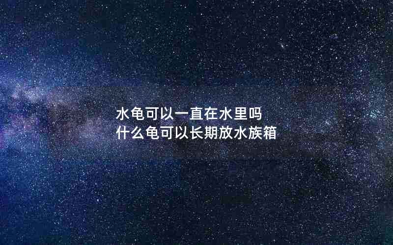 水龟可以一直在水里吗 什么龟可以长期放水族箱