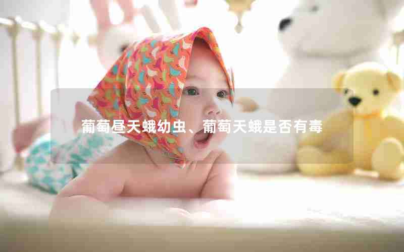 葡萄昼天蛾幼虫、葡萄天蛾是否有毒